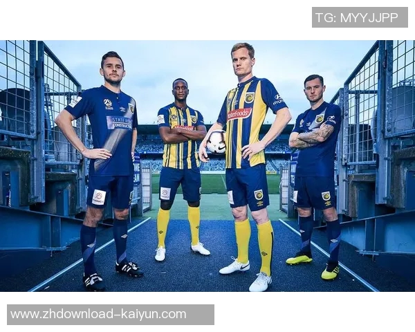 狮吼与水手的对决谁将掌控海洋与天空的荣耀